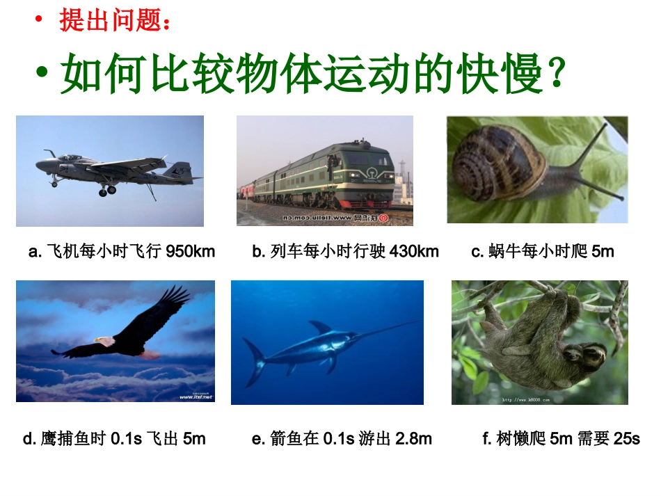 23运动的速度_第2页