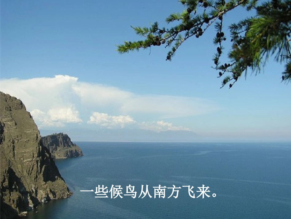 天鹅的故事（正）_第3页