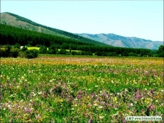 《彩色的非洲》课件