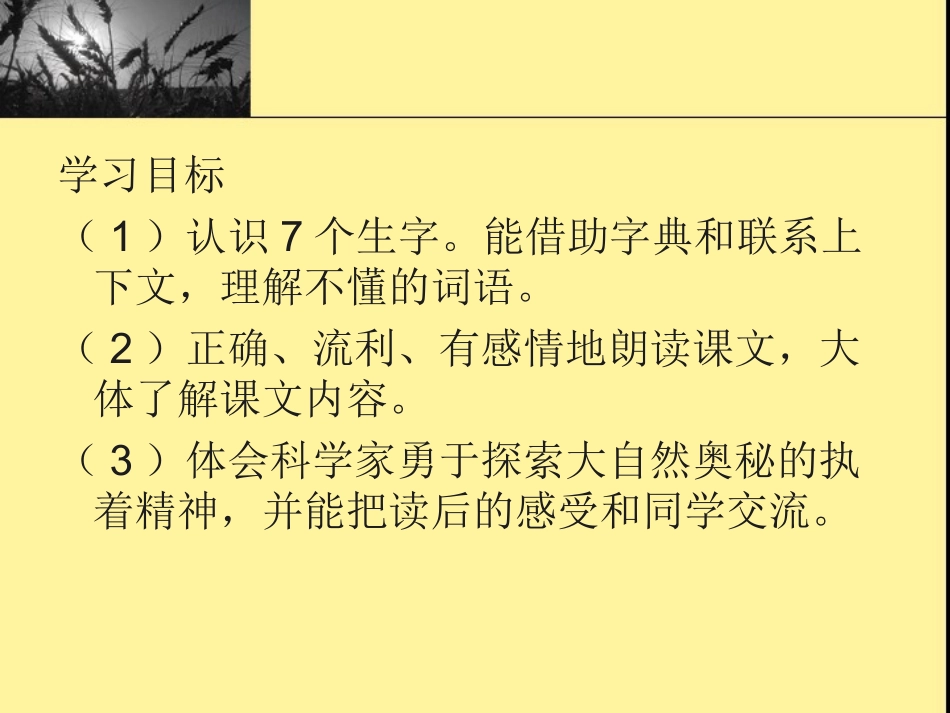 四上语文课件：世界地图引出的发现4_第3页