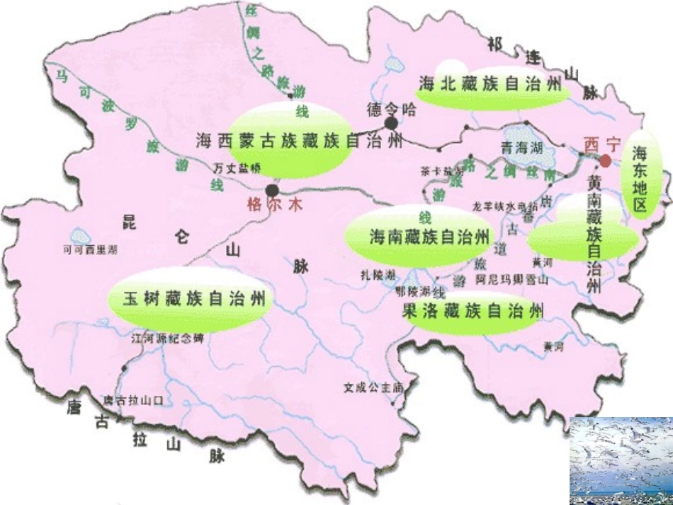 （语文A版）四年级语文上册课件神奇的鸟岛2_第2页