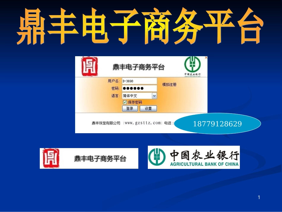 鼎丰银是干嘛的_第1页