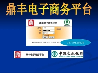 鼎丰银是干嘛的