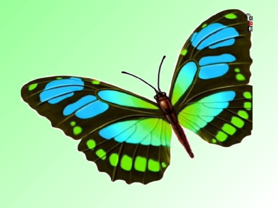 一年级语文下册第四单元_识字4课件_第3页