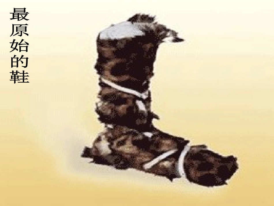 有趣的鞋课件_第3页