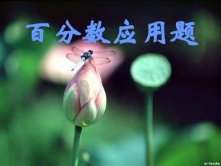 百分数应用题25
