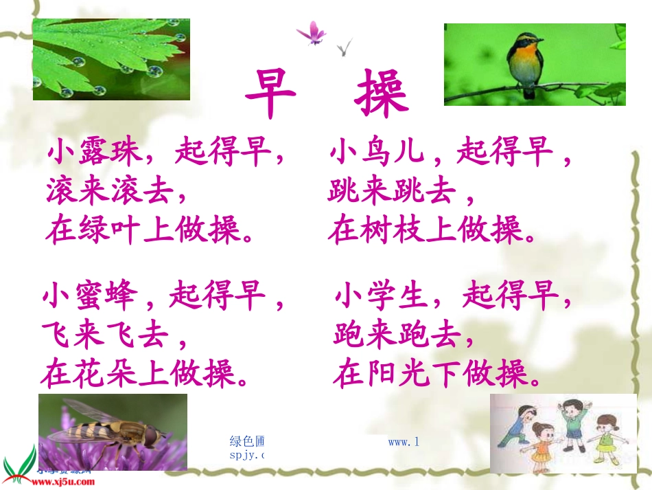 《早操》公开课课件_第3页