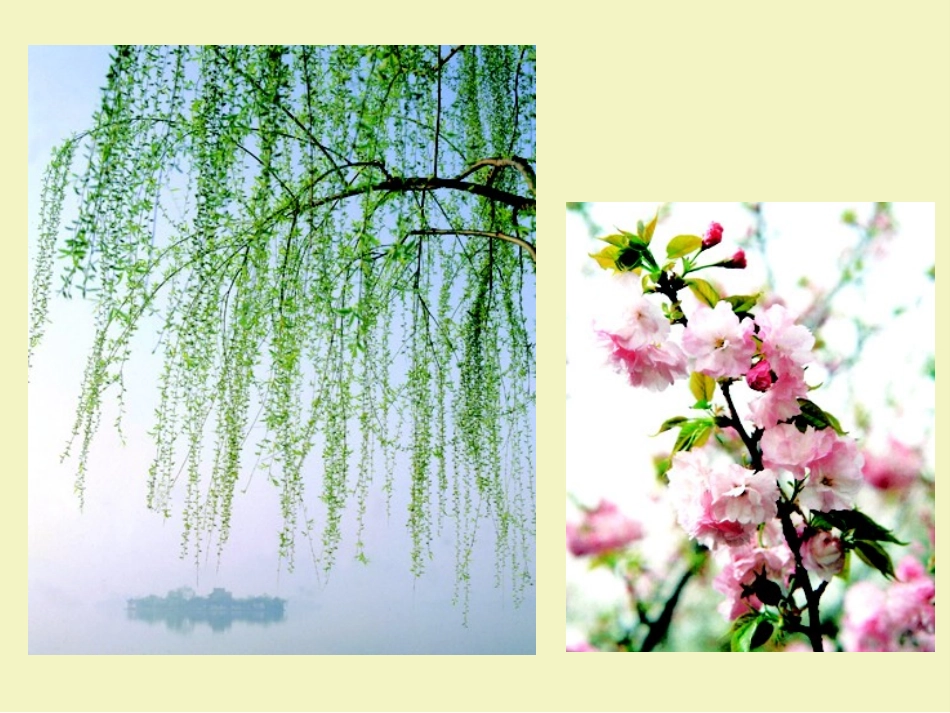 第1课春天在哪里第1课时_第3页