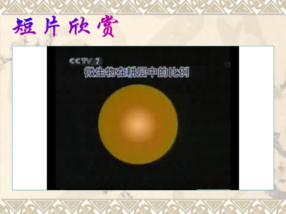 神奇的微生物_第2页