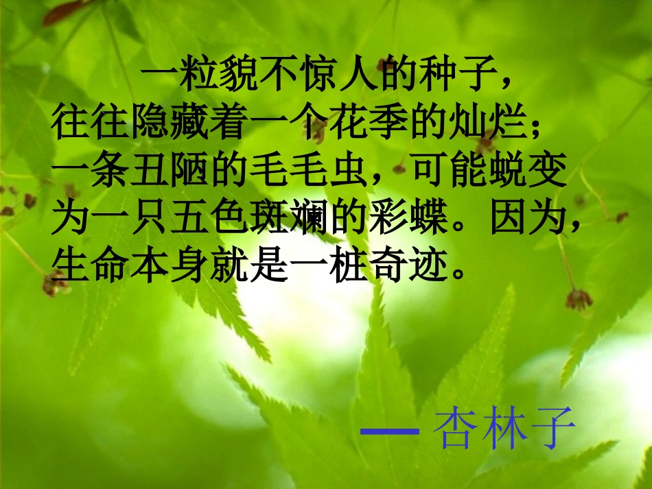 生命生命公开课_第2页