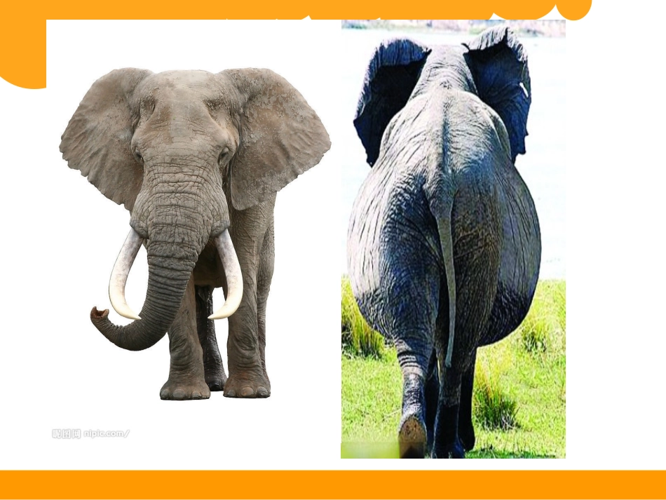 2014秋新北师大版三年级数学上册《看一看》一_第2页