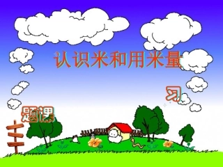 1认识米和用米量习题课