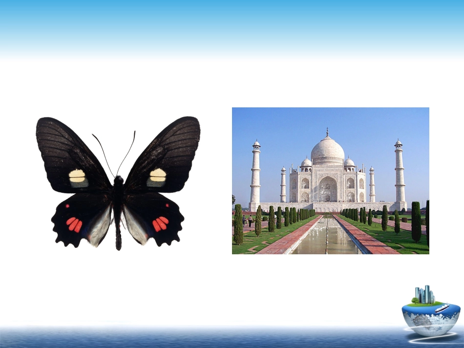 《函数的奇偶性》讲课课件_第3页