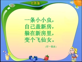 《蚕姑娘》PPT
