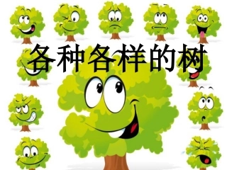 中班科学：各种各样的树