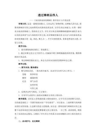 宋庆龄故居的樟树 (2)