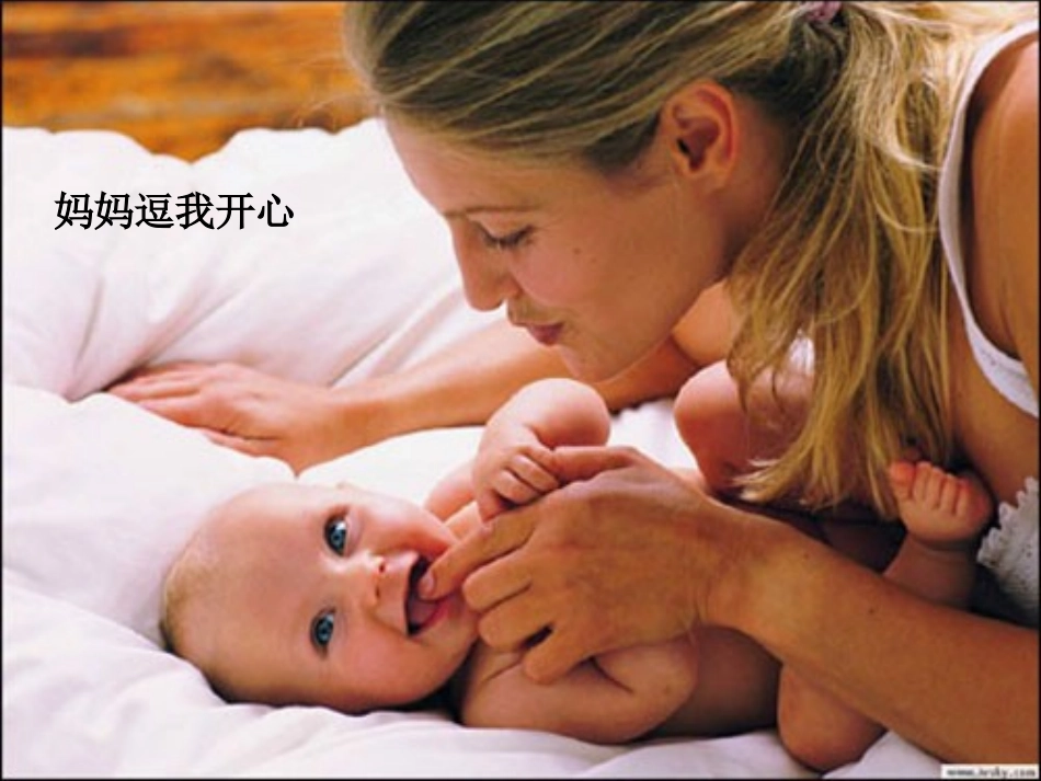 23卡罗纳_PPT22_第2页