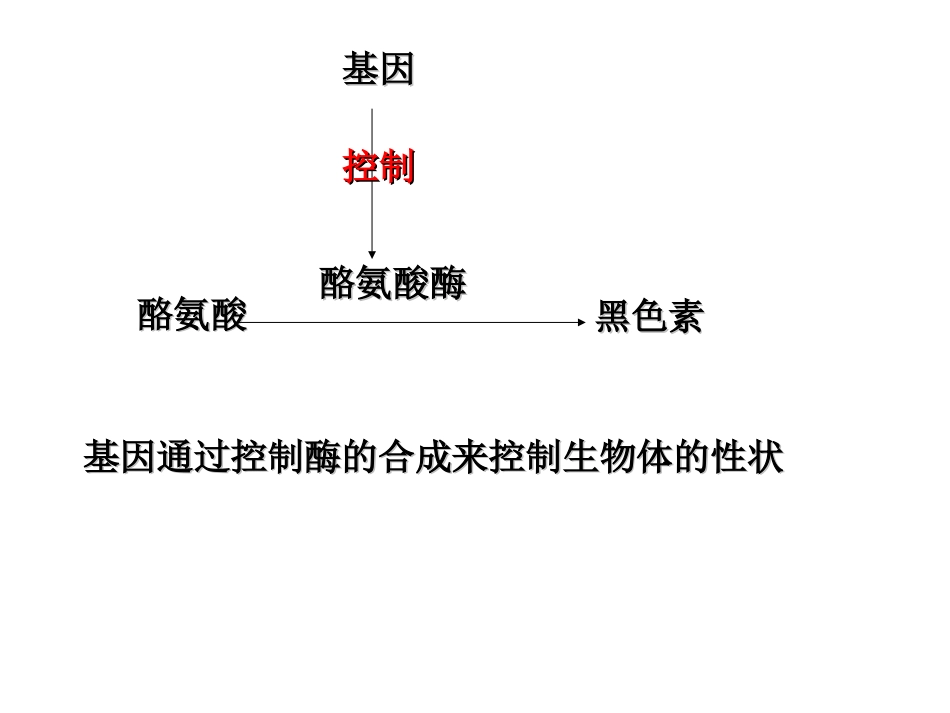 [课件]第10课基因控制蛋白质的合成_第3页