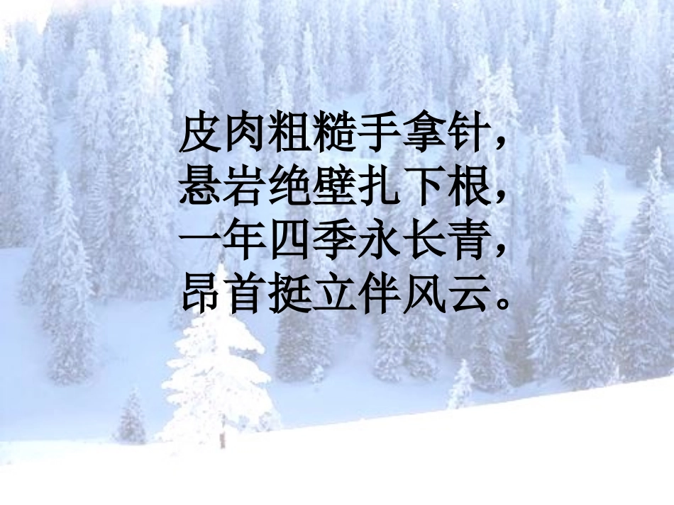 山谷中的谜底_第2页