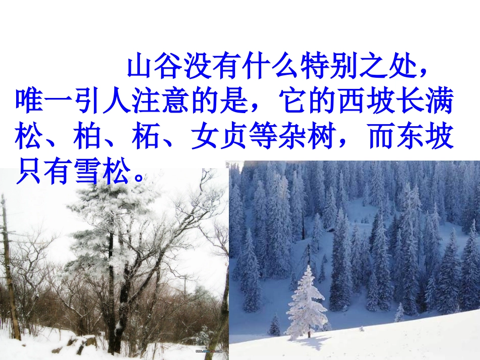 山谷中的谜底_第3页