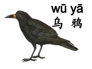 乌鸦喝水_课件13