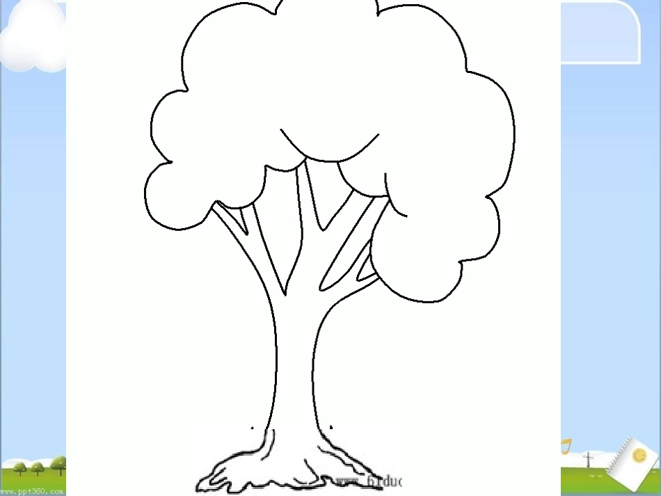 校园的树木课件_第3页