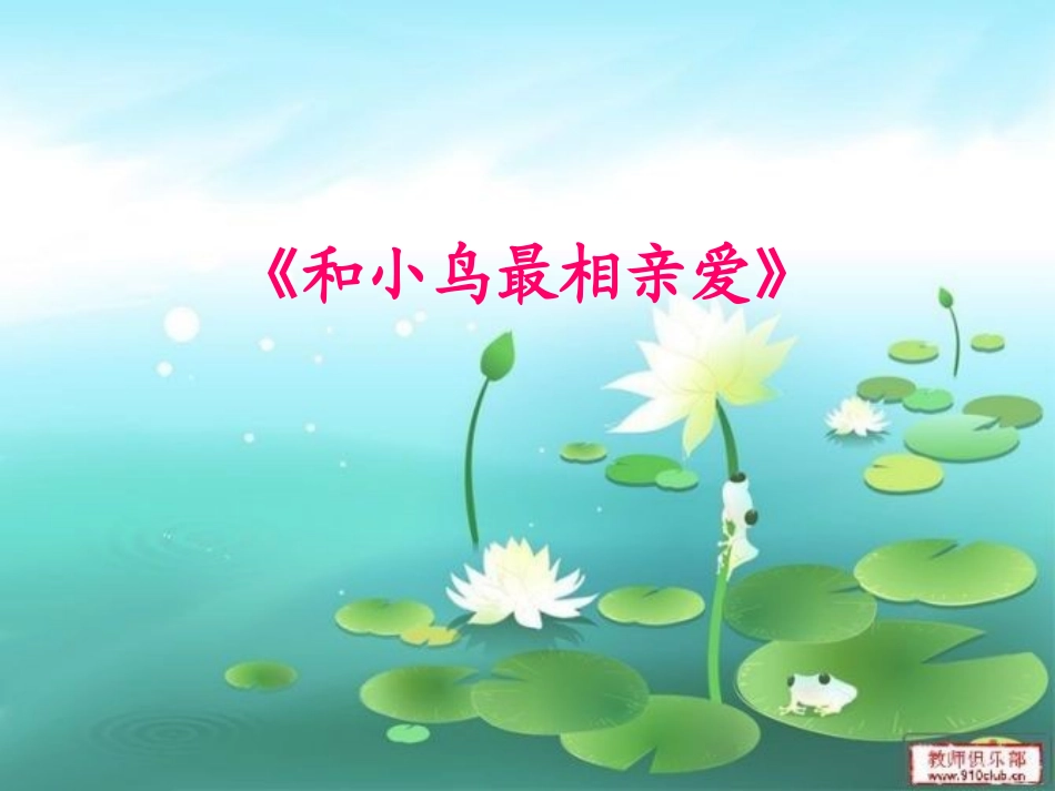 和小鸟最相亲爱_第1页