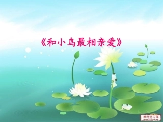 和小鸟最相亲爱