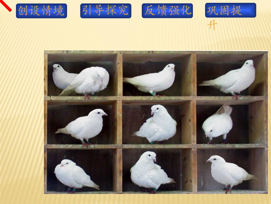 鸽巢问题》课件_第2页