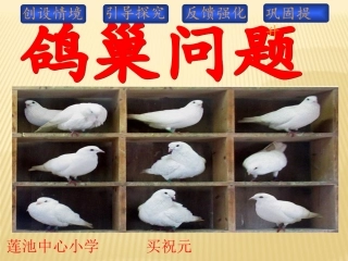 鸽巢问题》课件