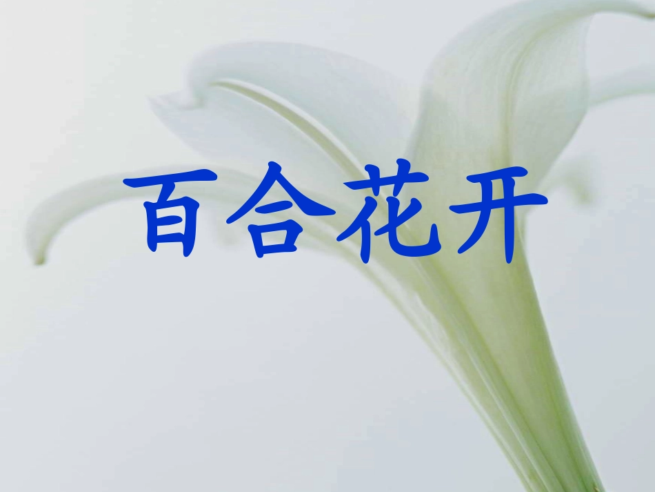 百合花开课件_第2页