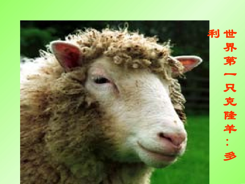 高二化学选修5第四章第三节蛋白质和核酸(共2课时)课件_第2页