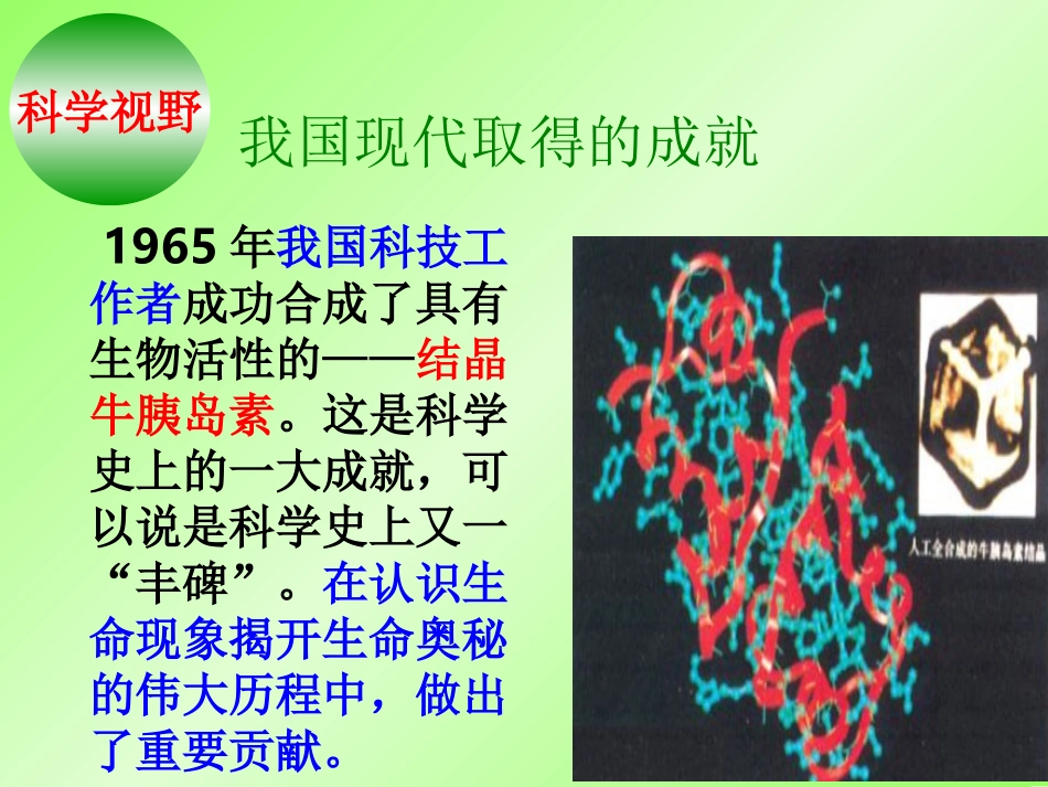 高二化学选修5第四章第三节蛋白质和核酸(共2课时)课件_第3页