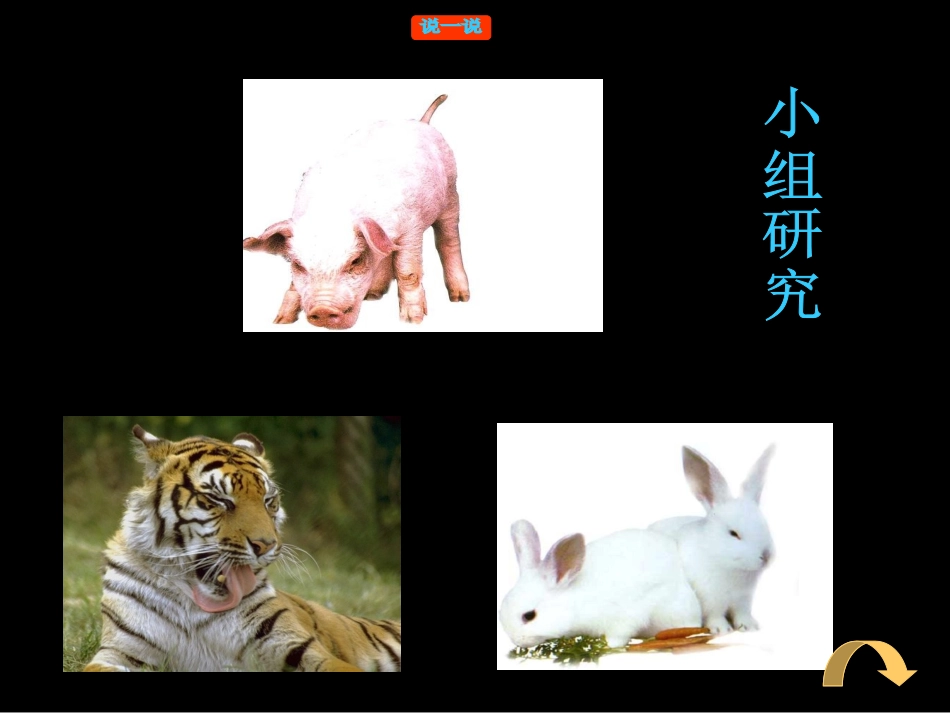 有趣的造型 (2)_第3页