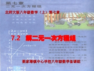 72解二元一次方程组-