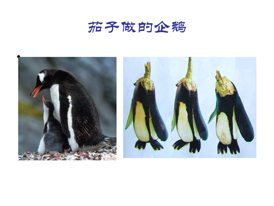 蔬果变变课件_第3页