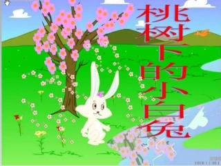 桃树下的小啊白兔