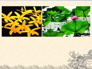 4《散文诗两首》课件