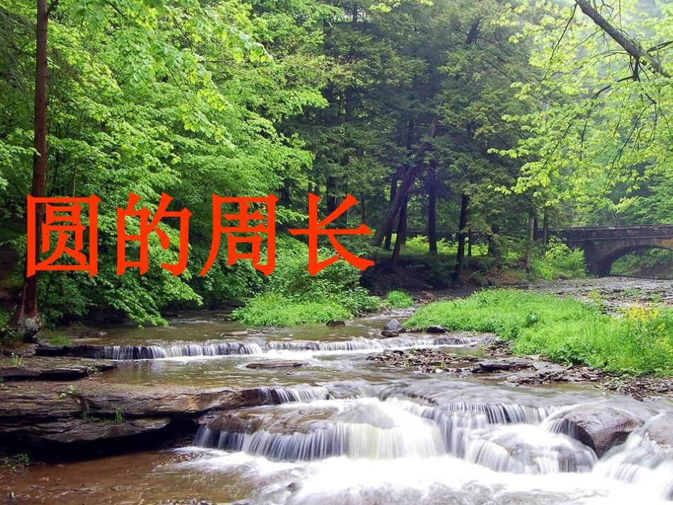 圆的周长 (5)_第1页