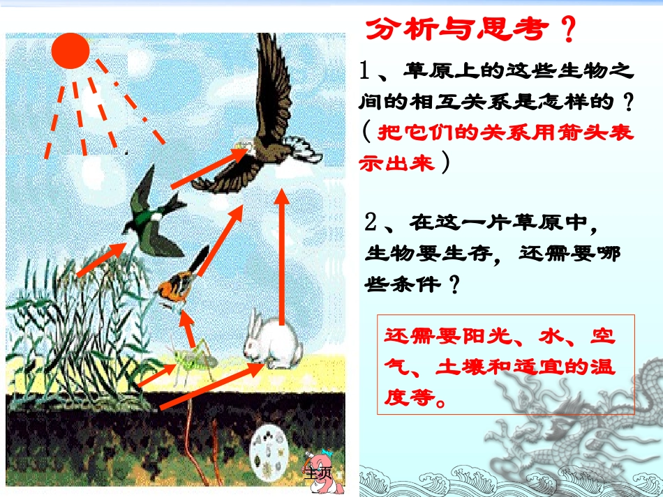 生态系统 (3)_第2页