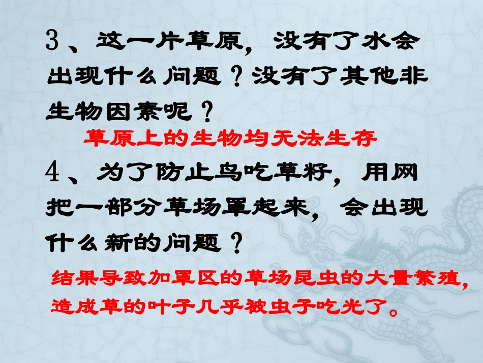 生态系统 (3)_第3页