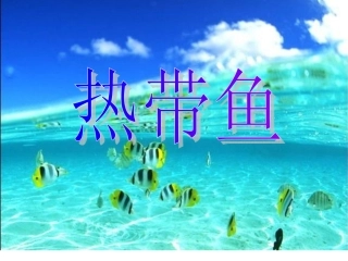《热带鱼》课件