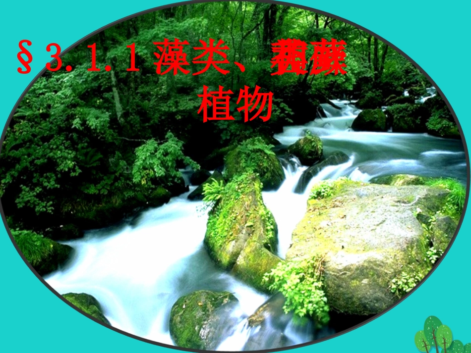 藻类_苔藓和蕨类植物_第3页
