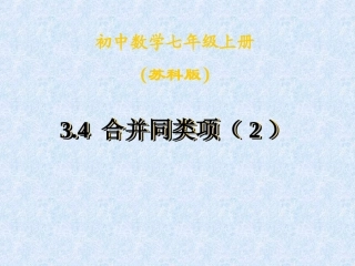 34合并同类项-2