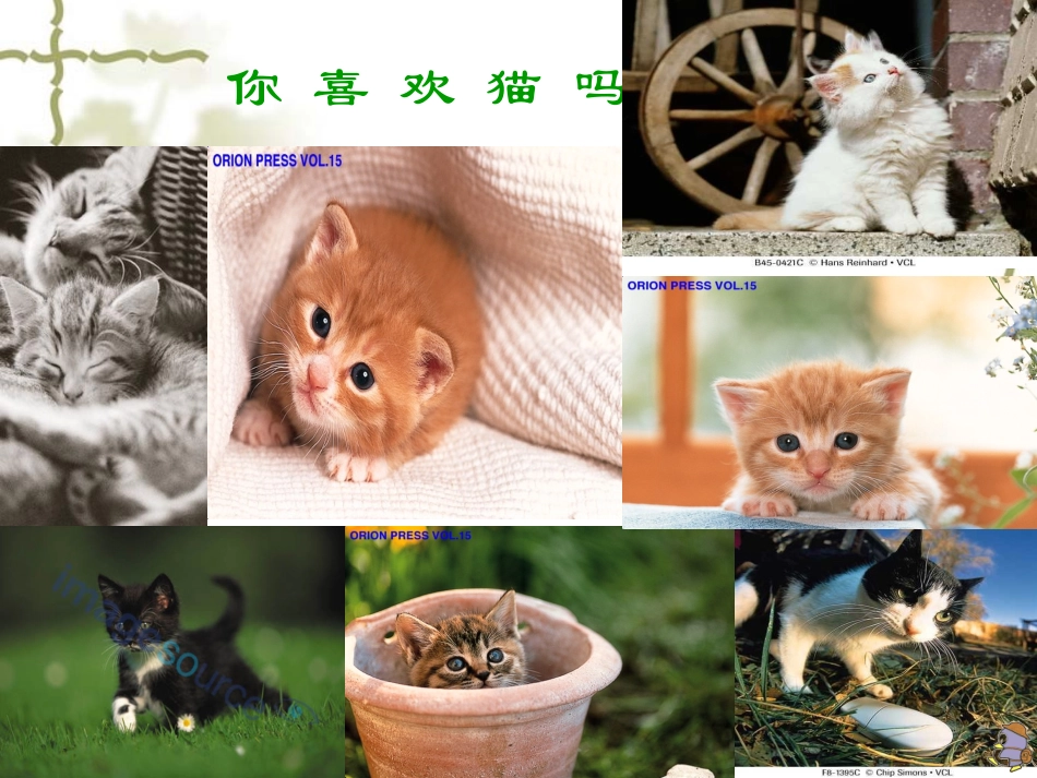《猫》 (3)_第1页