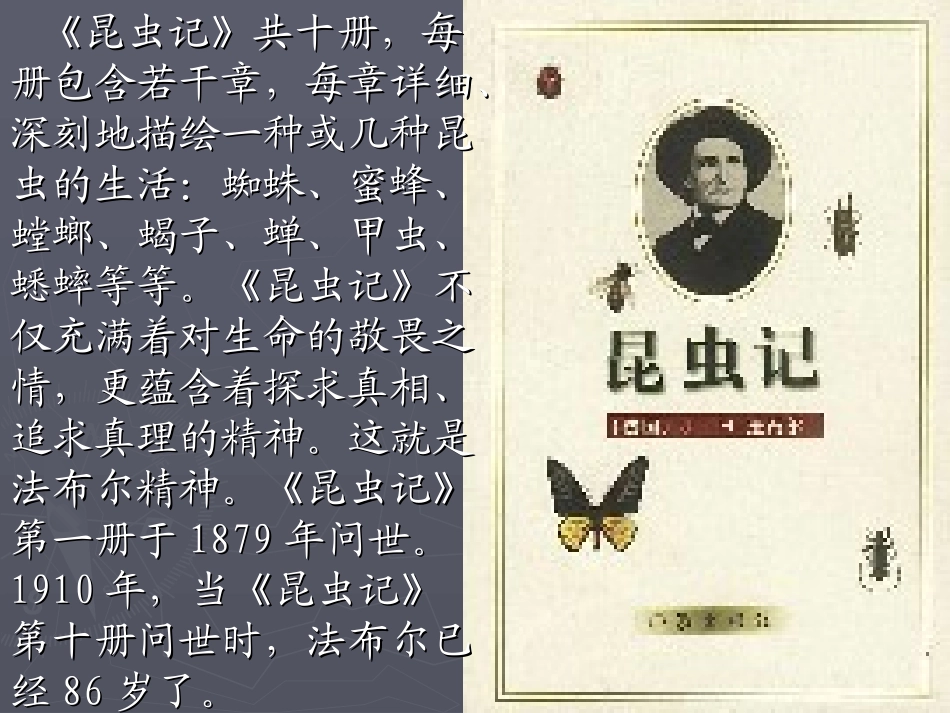 蜜蜂qiwl_第3页