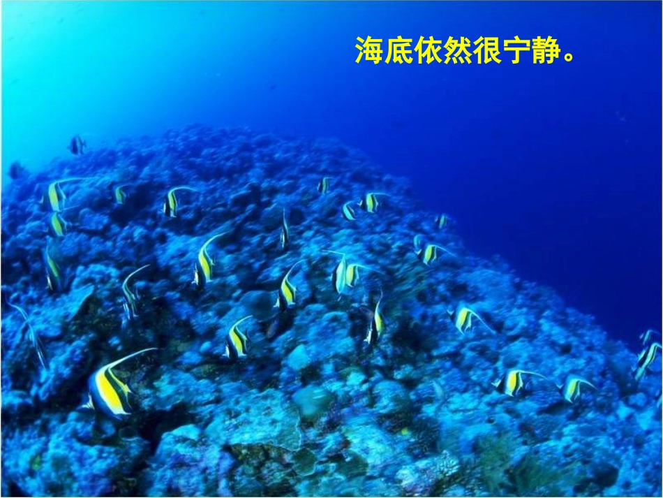 8富饶的海洋_第3页