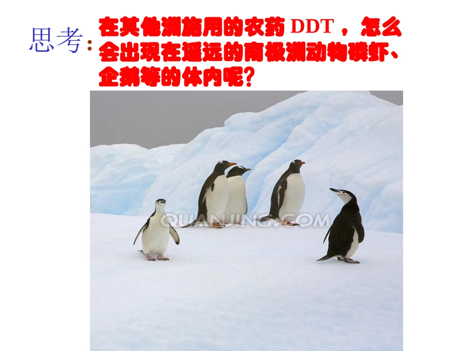 7生物圈是最大的生态系统_第3页