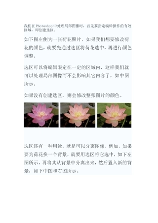 认识选区及选区的作用
