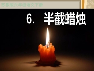 6《半截蜡烛》
